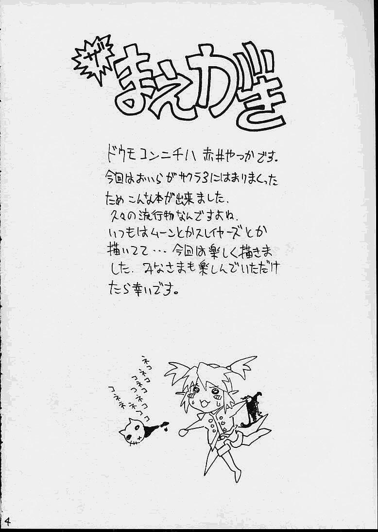 Les A House Cat - Sakura taisen Boob - Page 3
