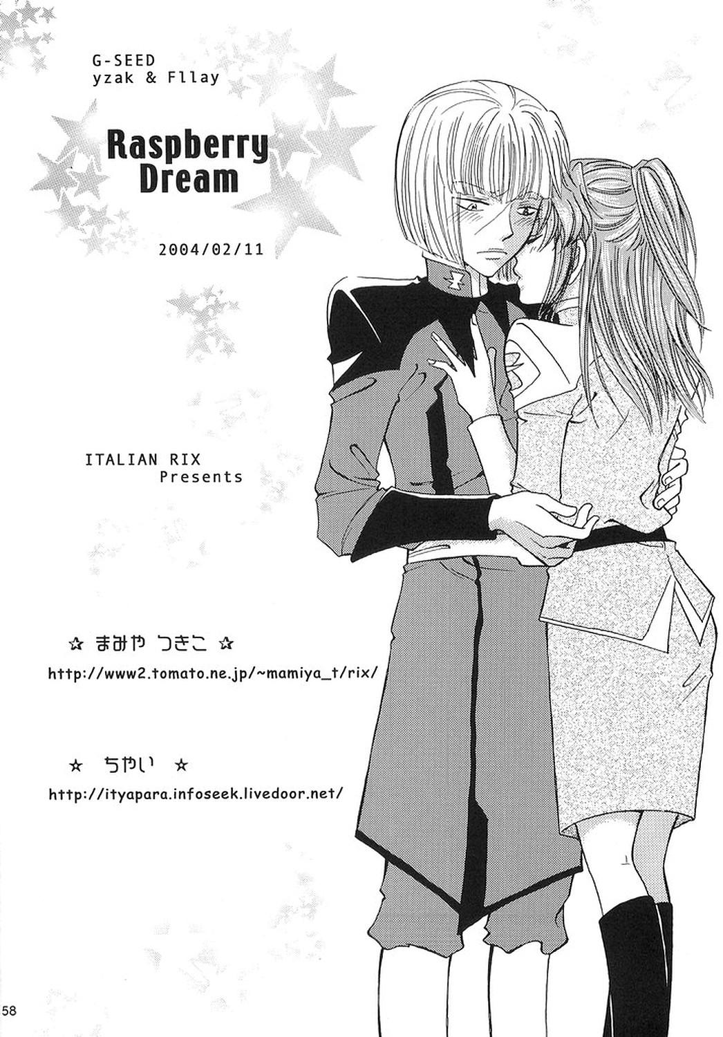 Stockings Rasberry Dream - Gundam seed Gay Party - Page 57