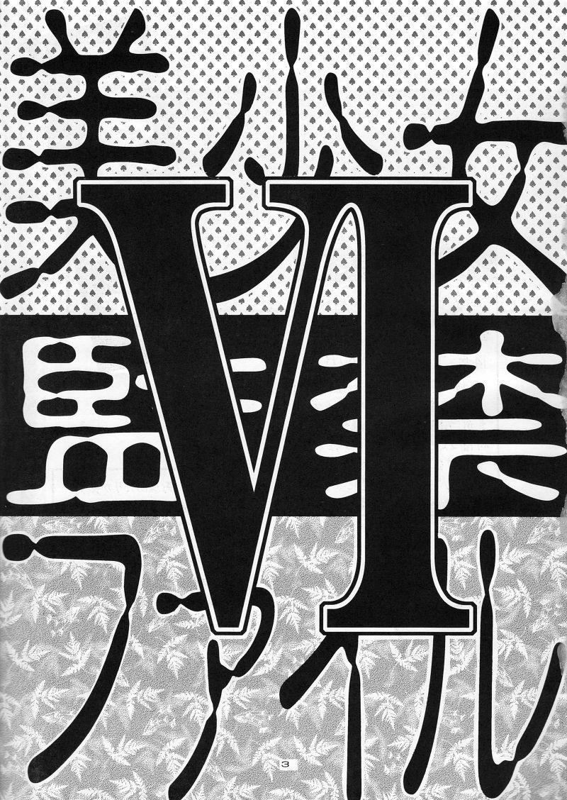 Bishoujo Kankin File VI 3