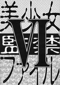 Bishoujo Kankin File VI 4