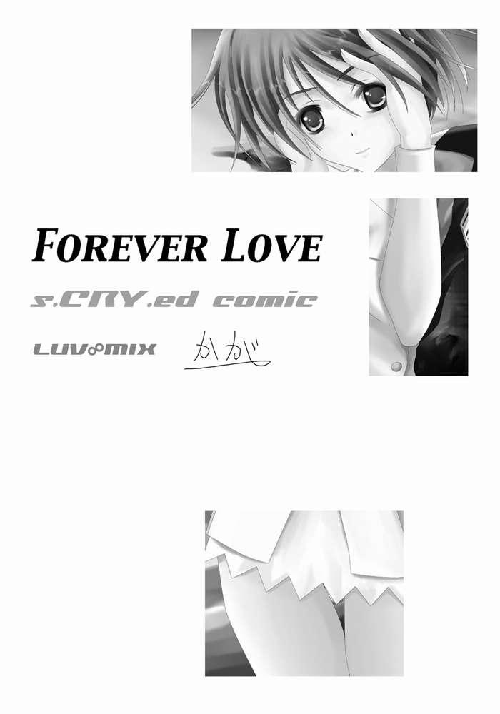 Forever Love 2