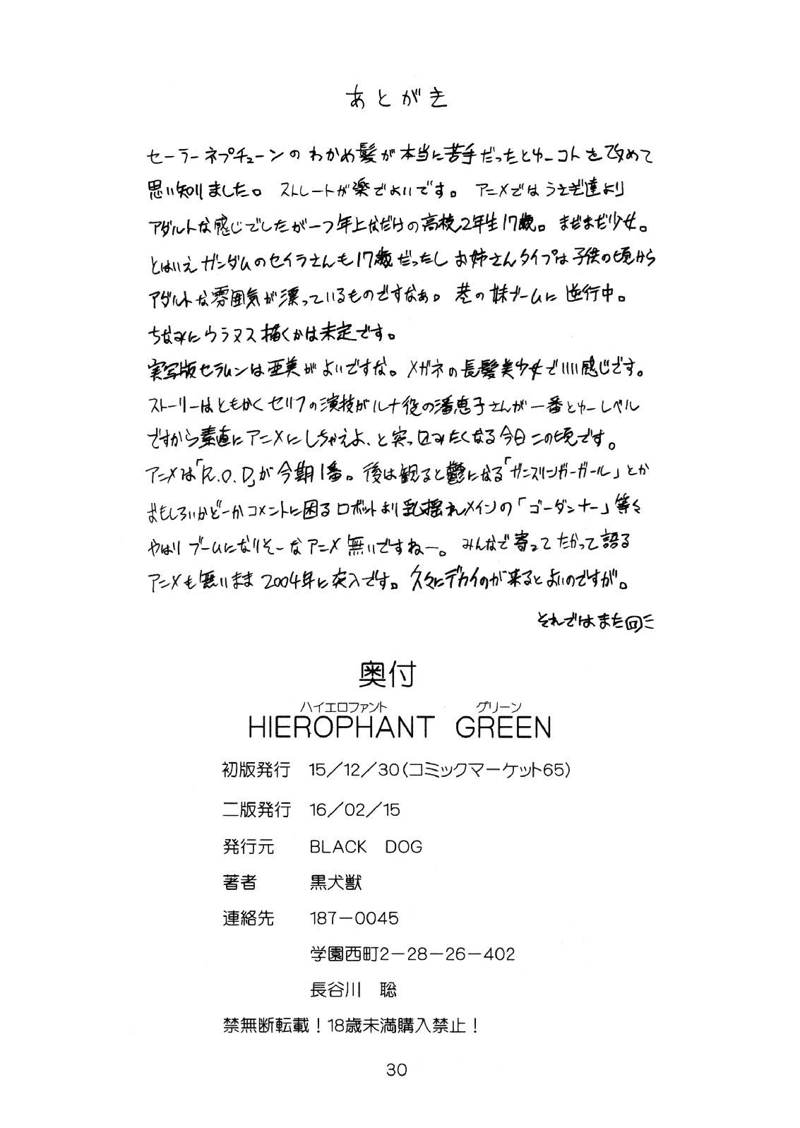 Caseiro Hierophant Green - Sailor moon Penetration - Page 29