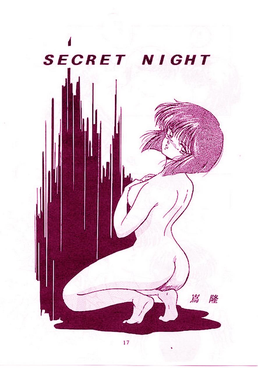 Secret Night 0
