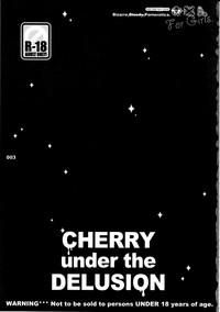 CHERRY under the DELUSION 3