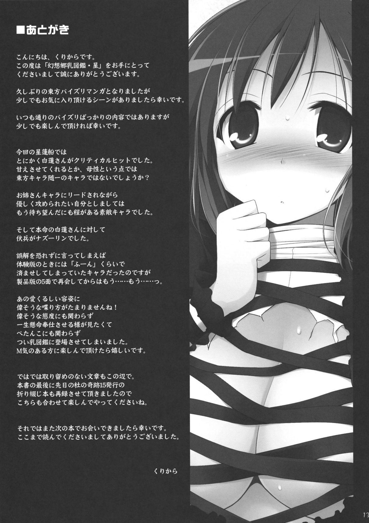 Passivo Gensoukyou Chichi Zukan Hoshi - Touhou project Passivo - Page 12