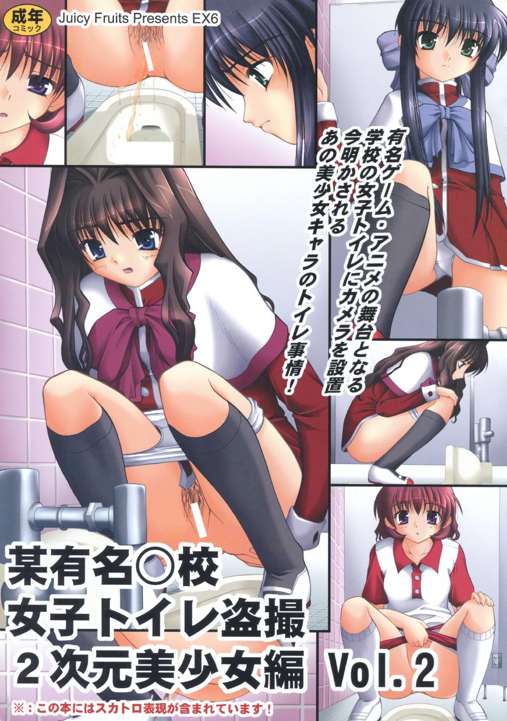 Bou Yuumei Koukou Joshi Toilet Tousatsu 2-jigen Bishoujo Hen Vol. 2 0