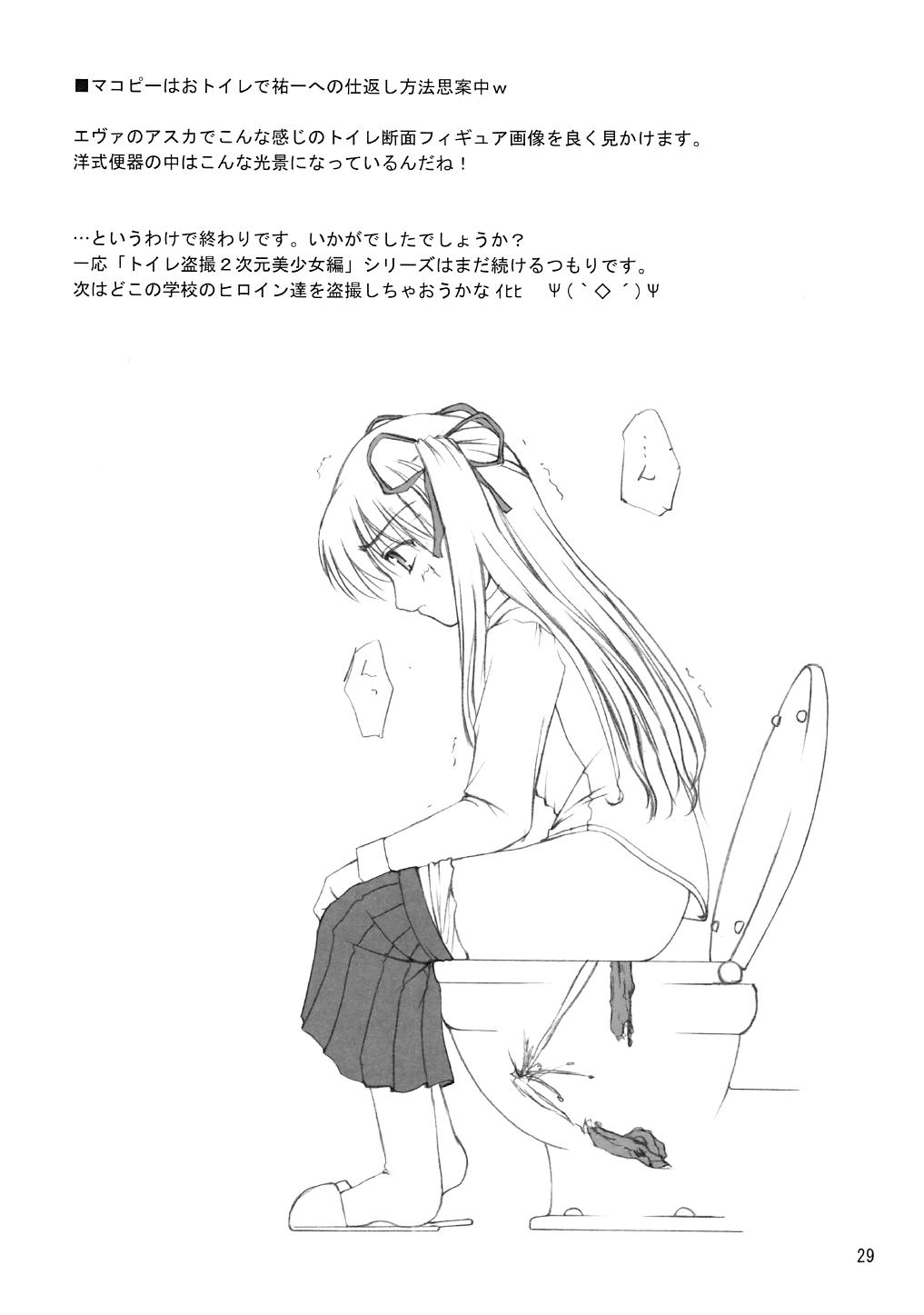 Bou Yuumei Koukou Joshi Toilet Tousatsu 2-jigen Bishoujo Hen Vol. 2 27