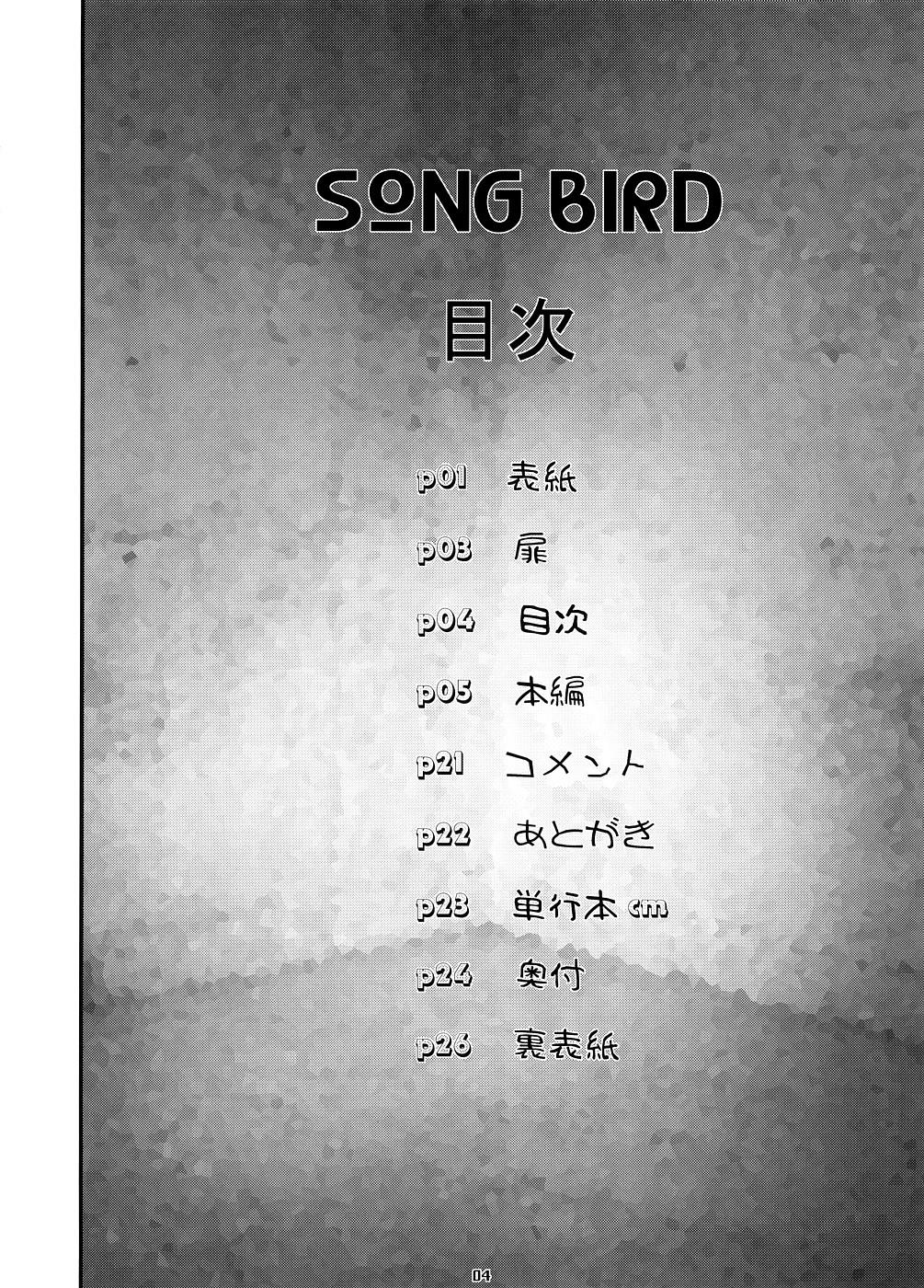 Hard Cock Song Bird - Macross frontier Tiny - Page 3