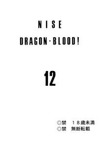 Nise Dragon Blood 12 2