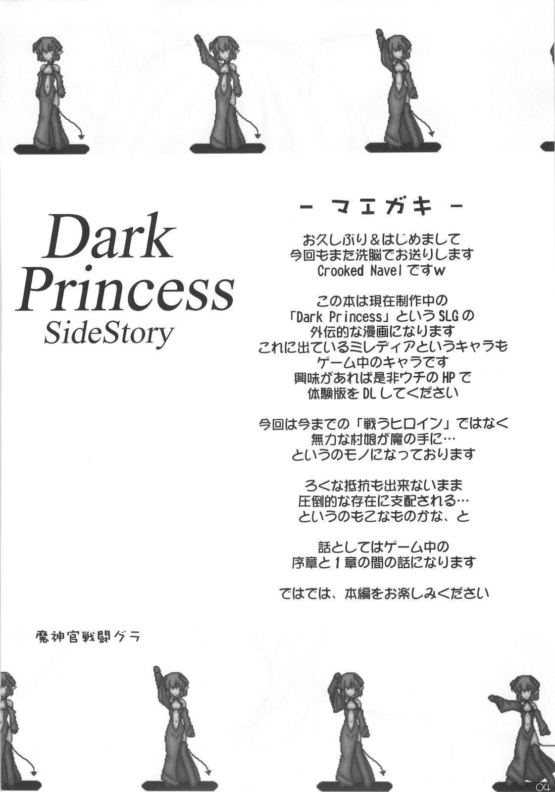 Dark Princess Side Story 3