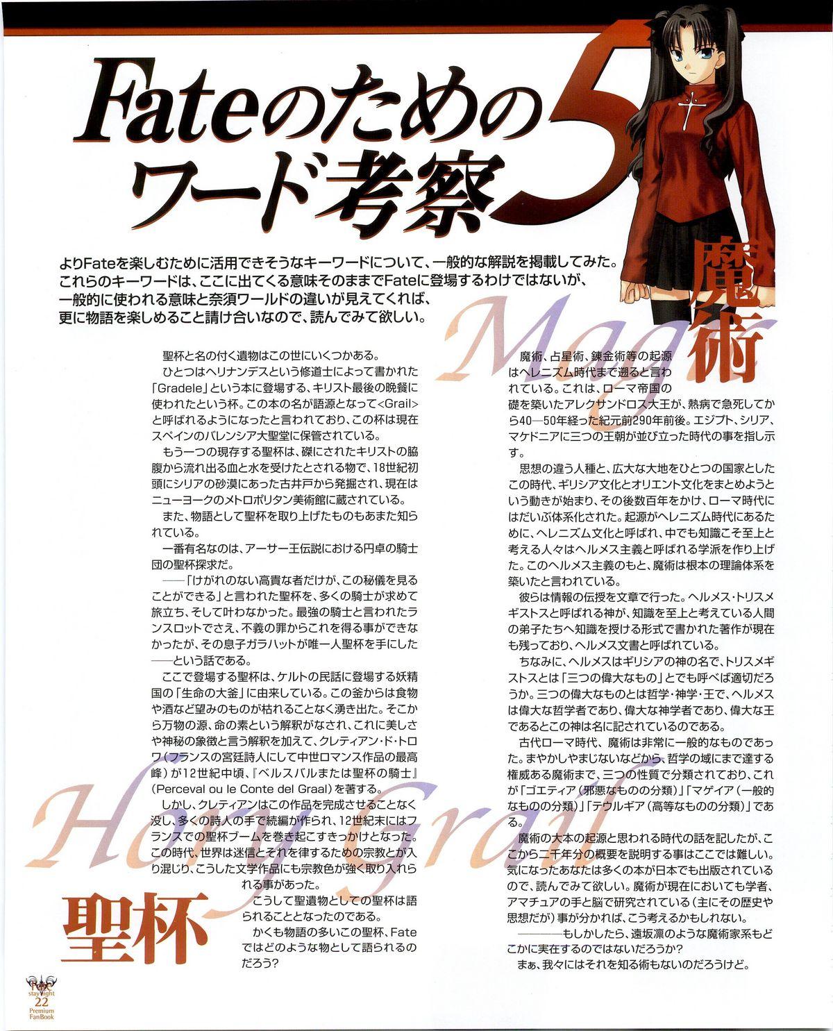 Fate/stay night Premium FanBook 13