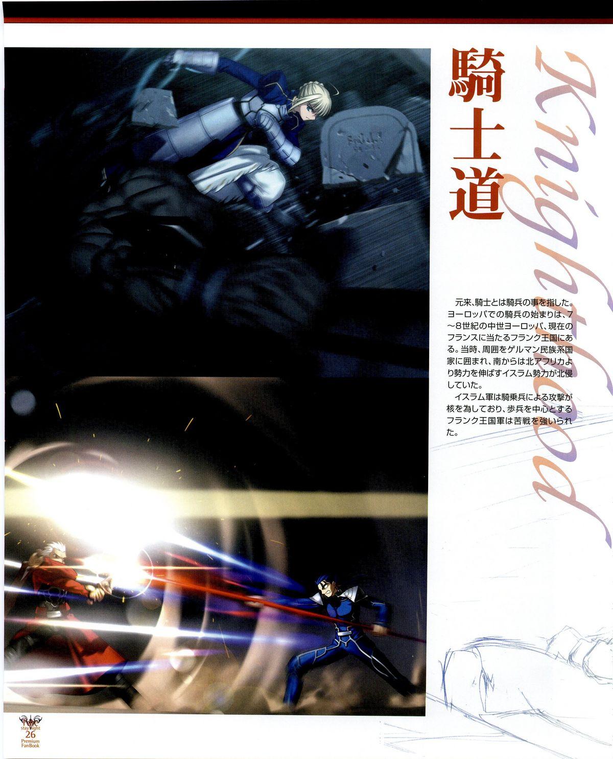 Fate/stay night Premium FanBook 17