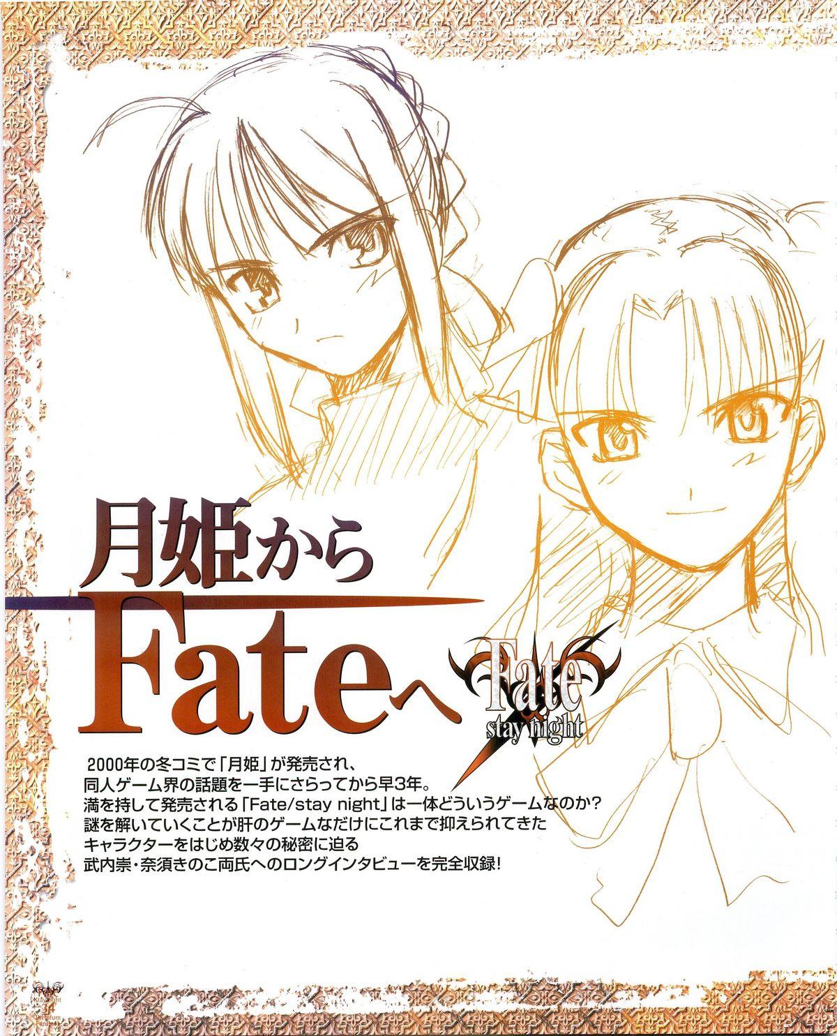 Fate/stay night Premium FanBook 25