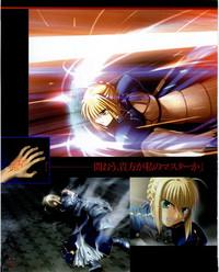 Fate/stay night Premium FanBook 3