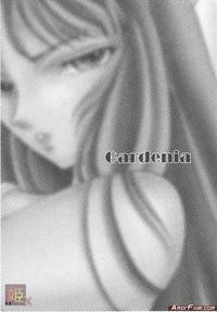 Gardenia 2