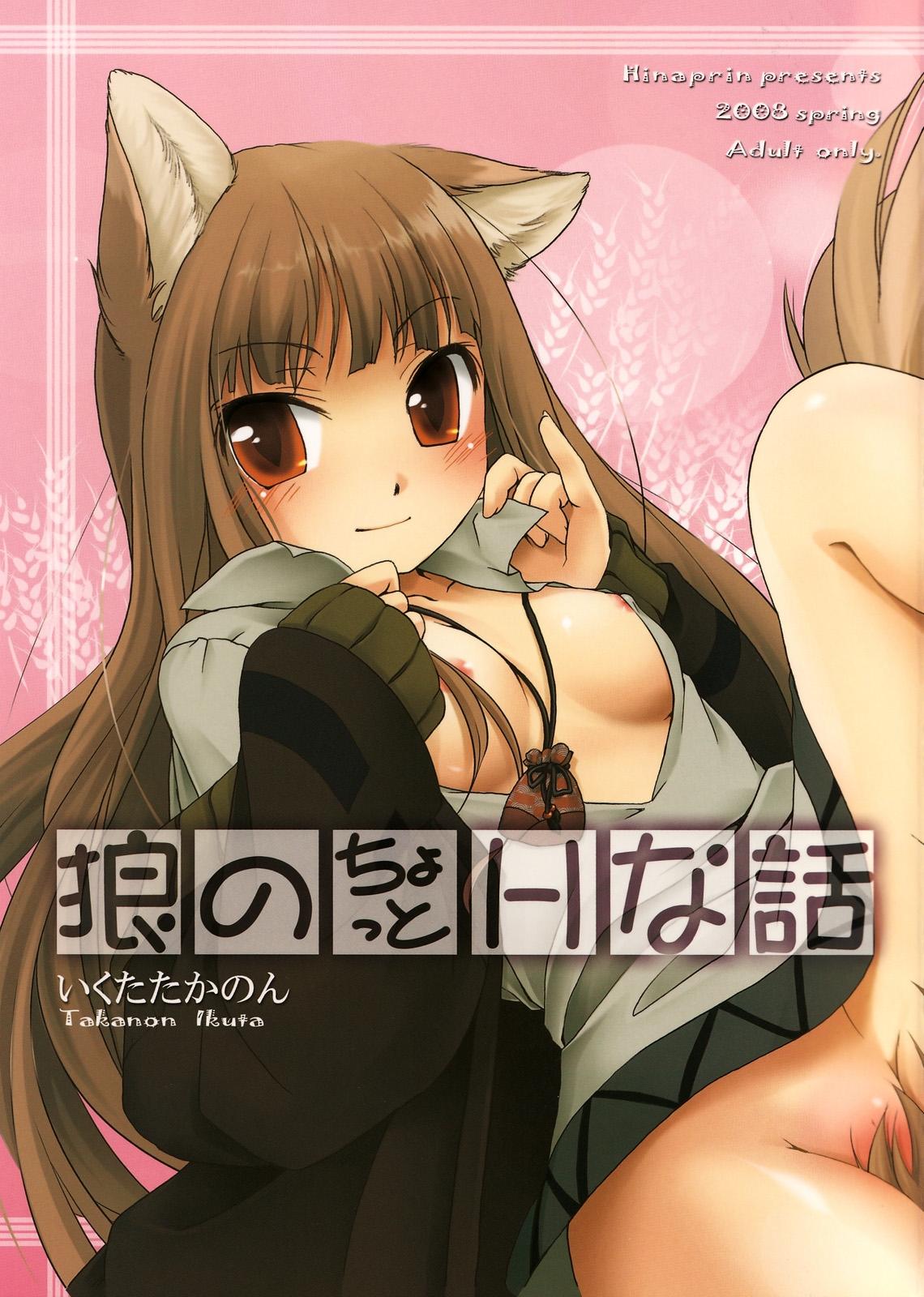 (COMIC1☆2) [Hina prin (Ikuta Takanon)] Ookami no Chotto H na Hanashi [Wolf and a Little Dirty Chat] (Ookami to Koushinryou [Spice and Wolf]) [English] ==Strange Companions== 0