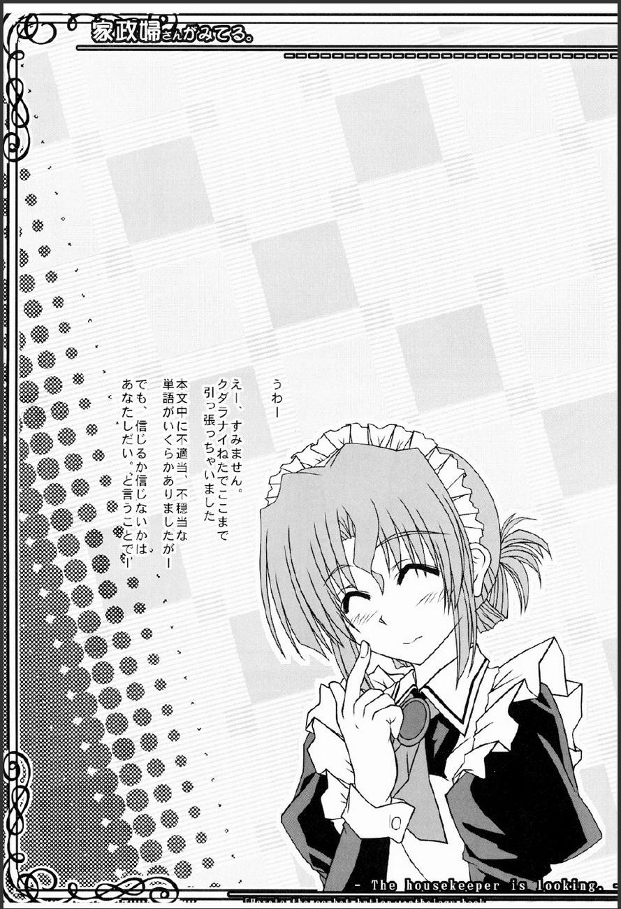 Slim Kaseifu-san ga Miteru 2 - Hayate no gotoku Mamada - Page 10