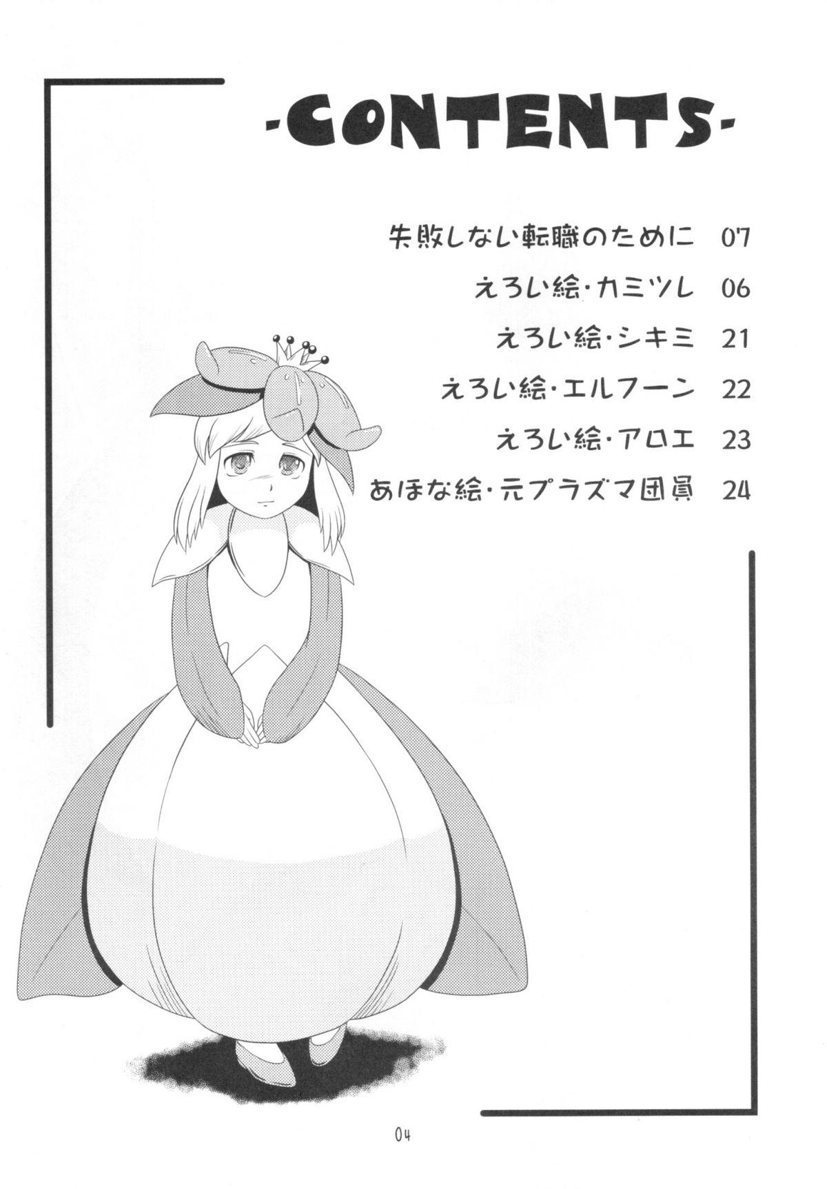 Concha Pocket Training - Pokemon Lady - Page 2