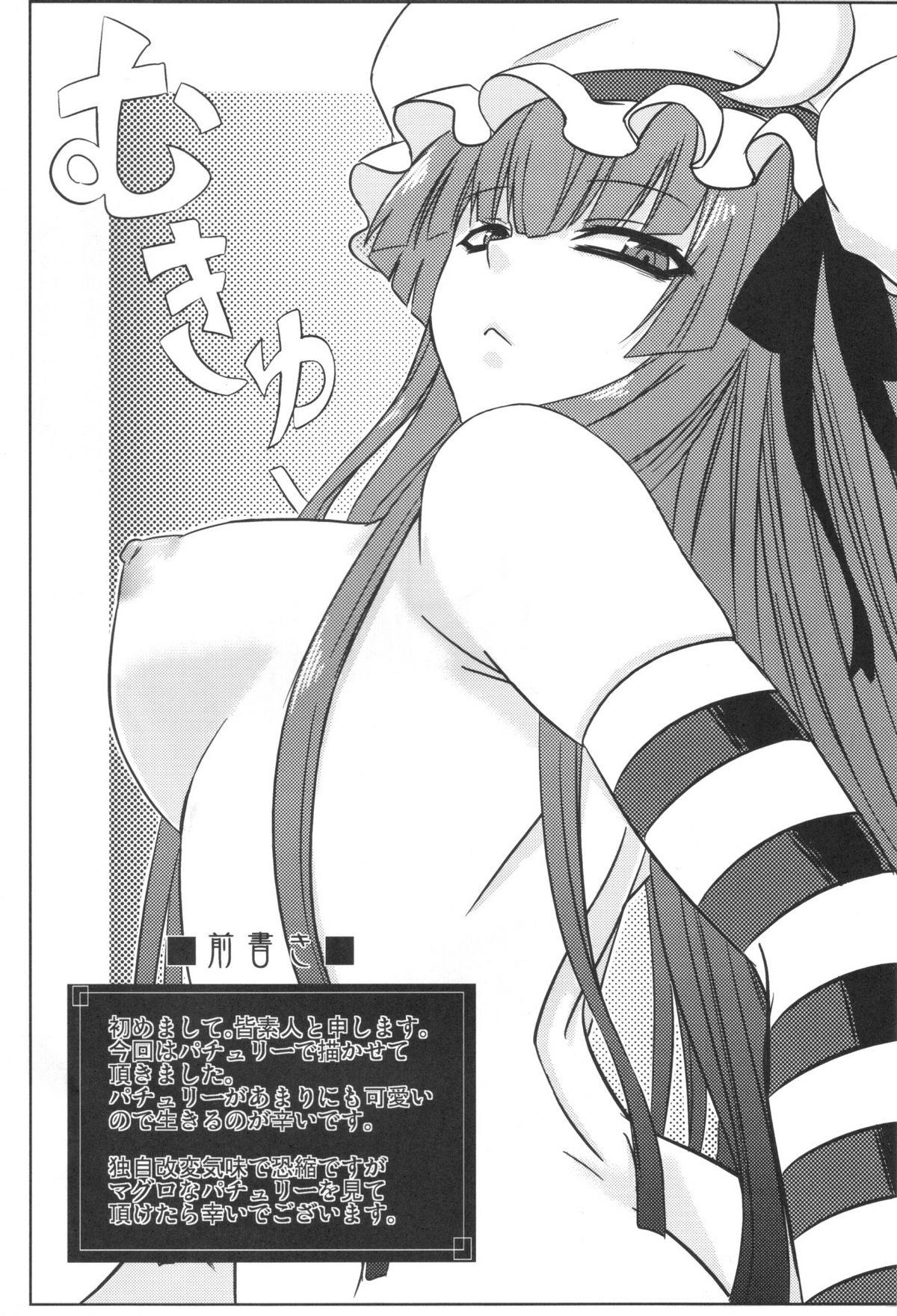 Porno Patchouli to Ashi Bakari no Doujin - Touhou project Anal Play - Picture 3