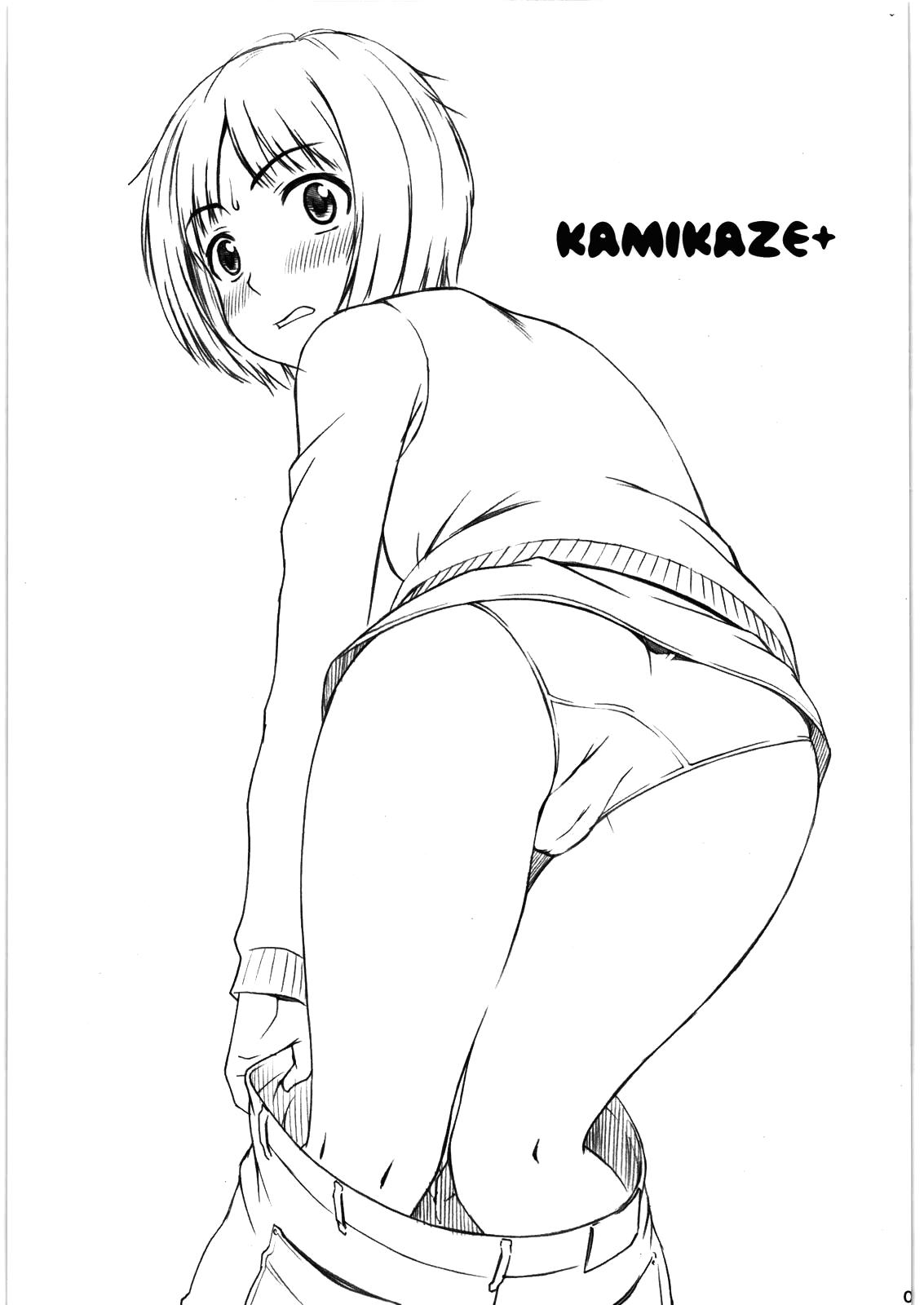 Kamikaze+ 1