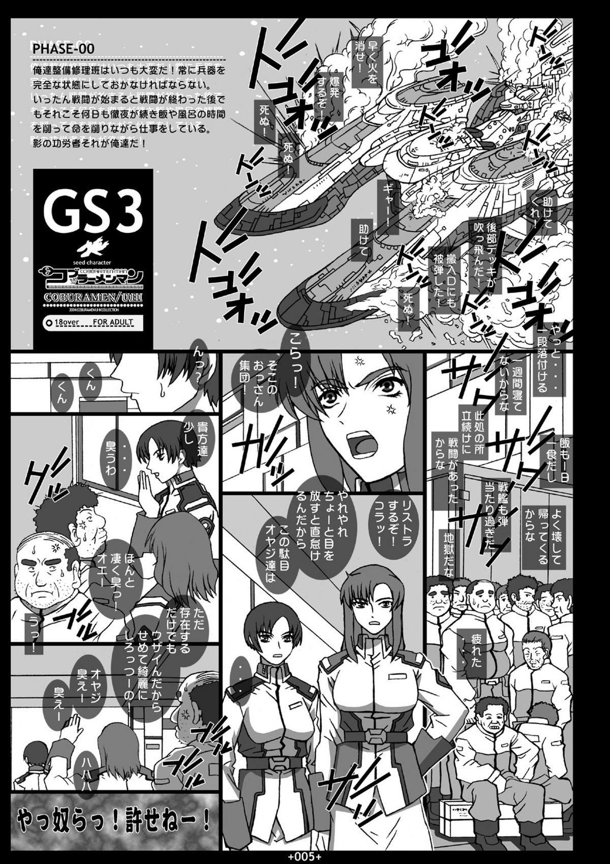 GS3 2