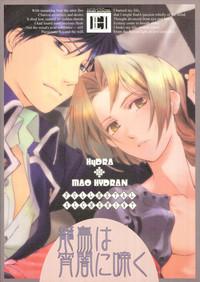 _Kago_wa_Tori_-_FMA 2