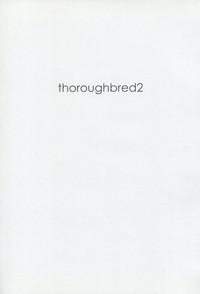 thoroughbred2 2