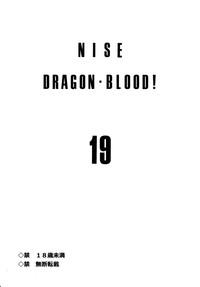 Nise Dragon Blood! 19 3