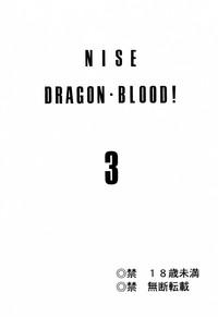 NISE Dragon Blood! 3 2