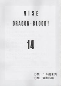 NISE Dragon Blood! 14 2