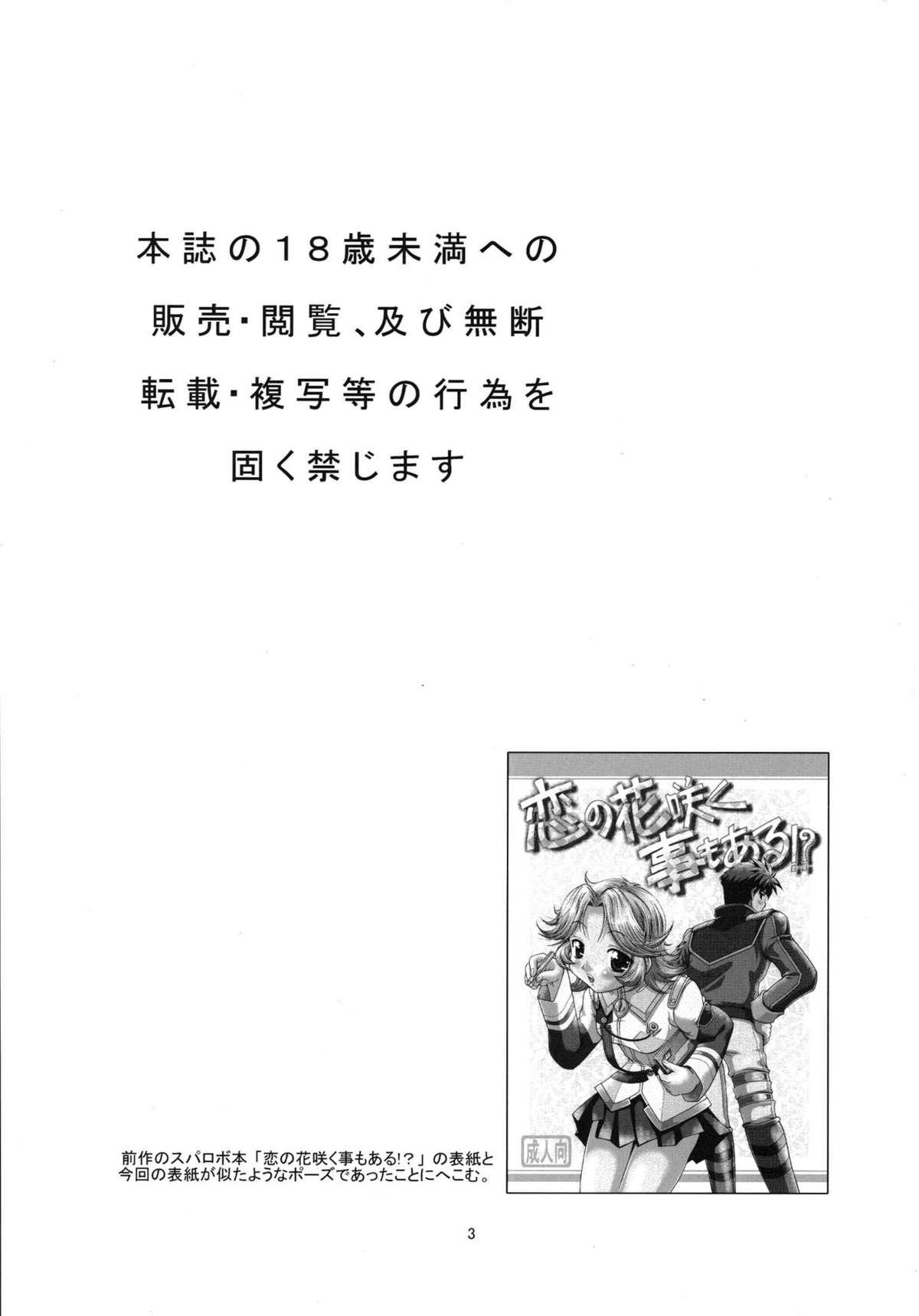 Cavala Gekitou!? Hidamari Mahjong - Hidamari sketch Longhair - Page 3