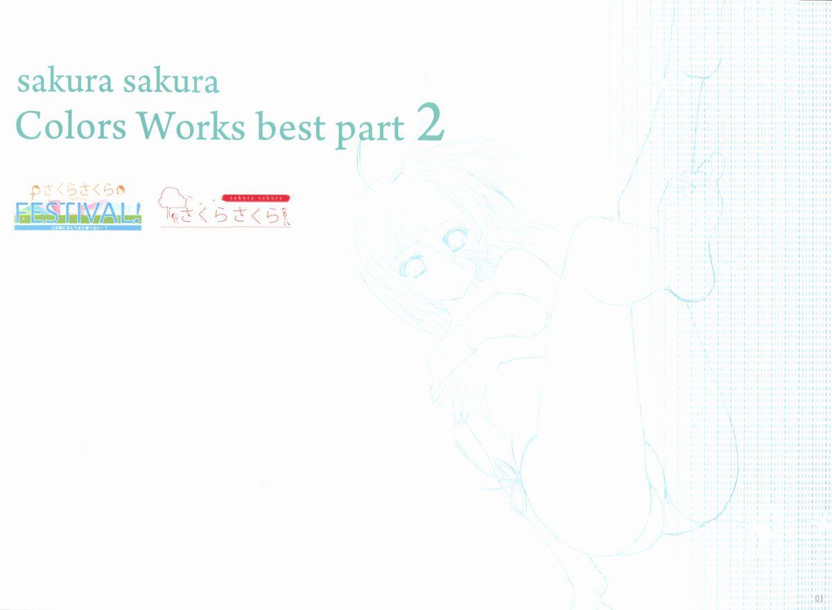 Sakura Sakura Color Works Best 133