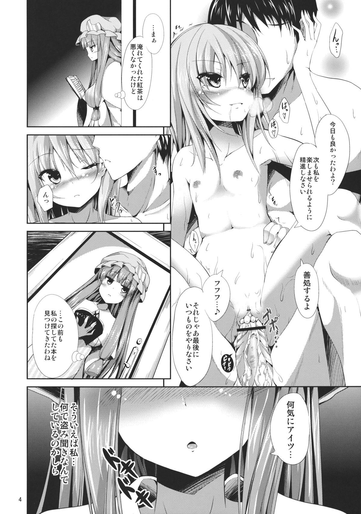 Shaven Sweet nothingS - Touhou project Hottie - Page 4