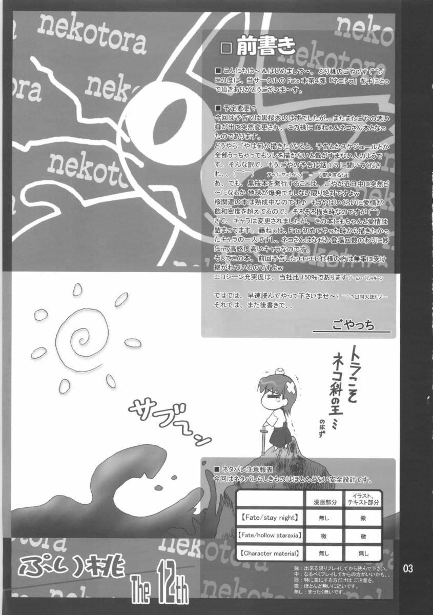 Satin Nekotora ～ Nekoka no Oneesan wa Suki desu ka? ～ - Fate stay night Uncensored - Page 2