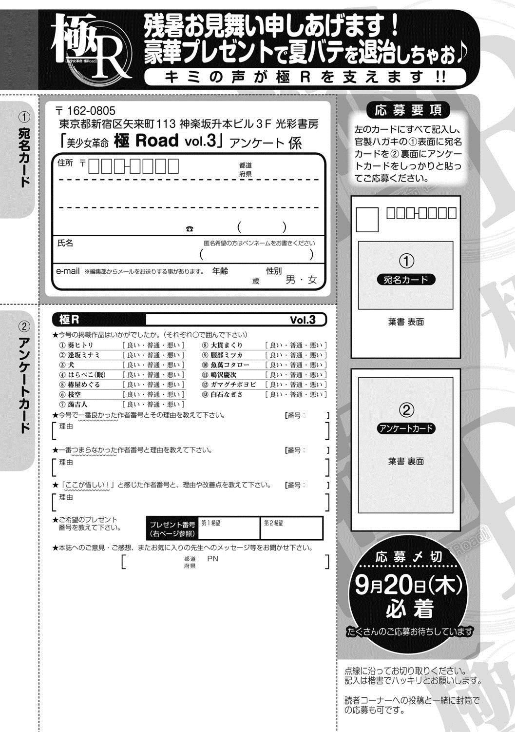 Bishoujo Kakumei KIWAME Road 2012-10 Vol.3 254