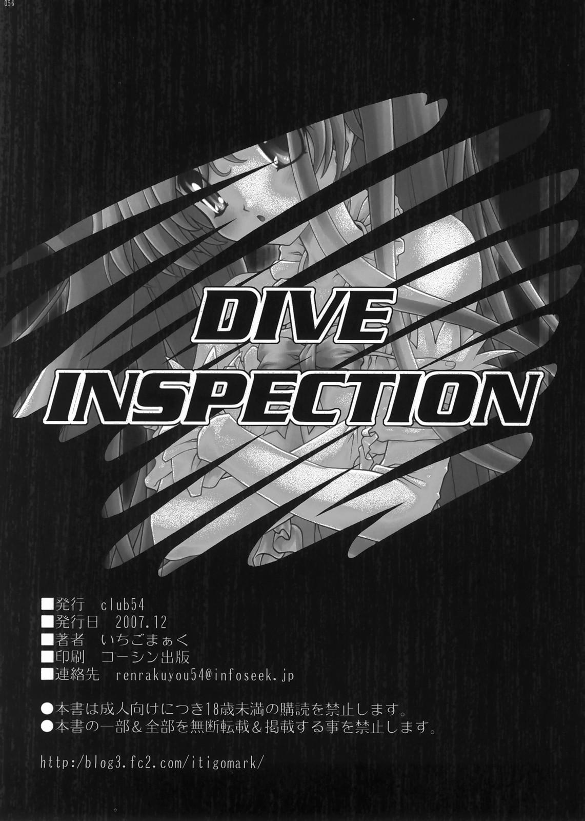 DIVE INSPECTION 52