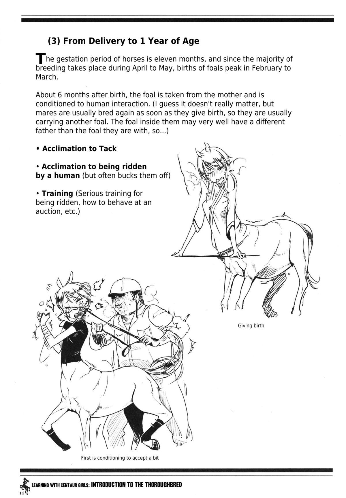 Centaur Musume de Manabu Hajimete no Thoroughbred | Learning With Centaur Girls: Introduction To The Thoroughbred 9