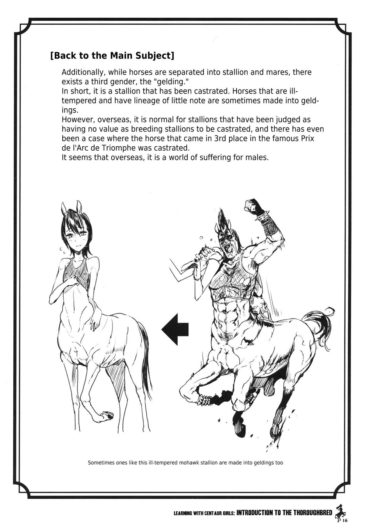Centaur Musume de Manabu Hajimete no Thoroughbred | Learning With Centaur Girls: Introduction To The Thoroughbred 15