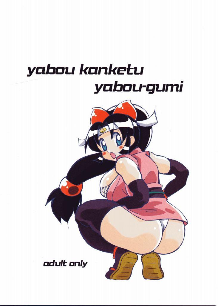 Yabou Kanketu 13