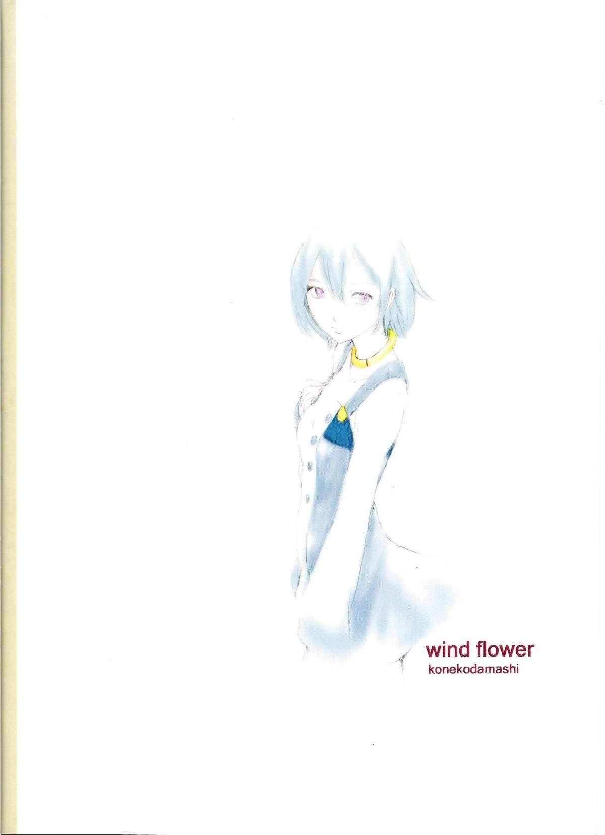 wind flower 15