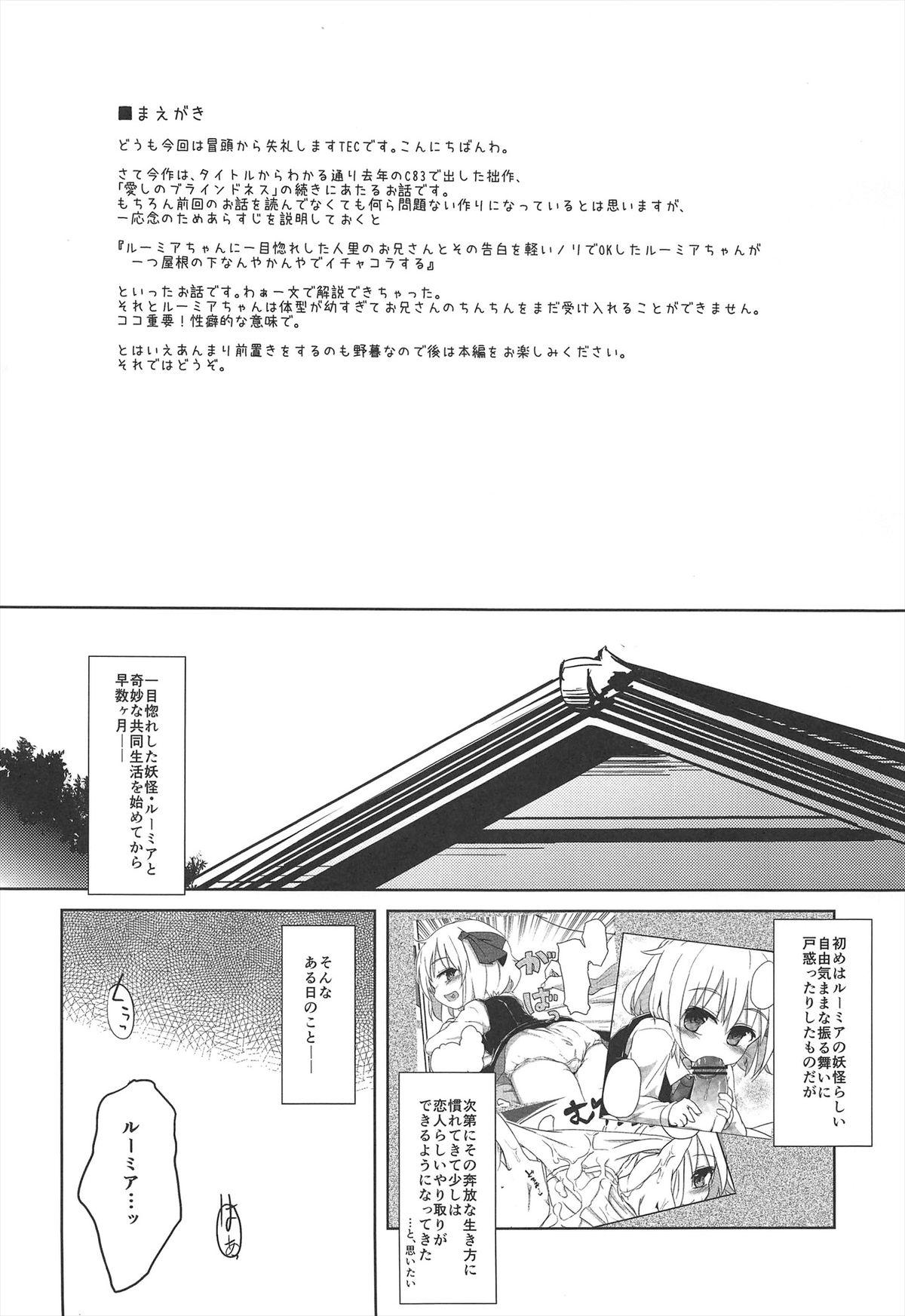 Duro Itoshi No Blindness Plus! - Touhou project Tight Pussy - Page 4