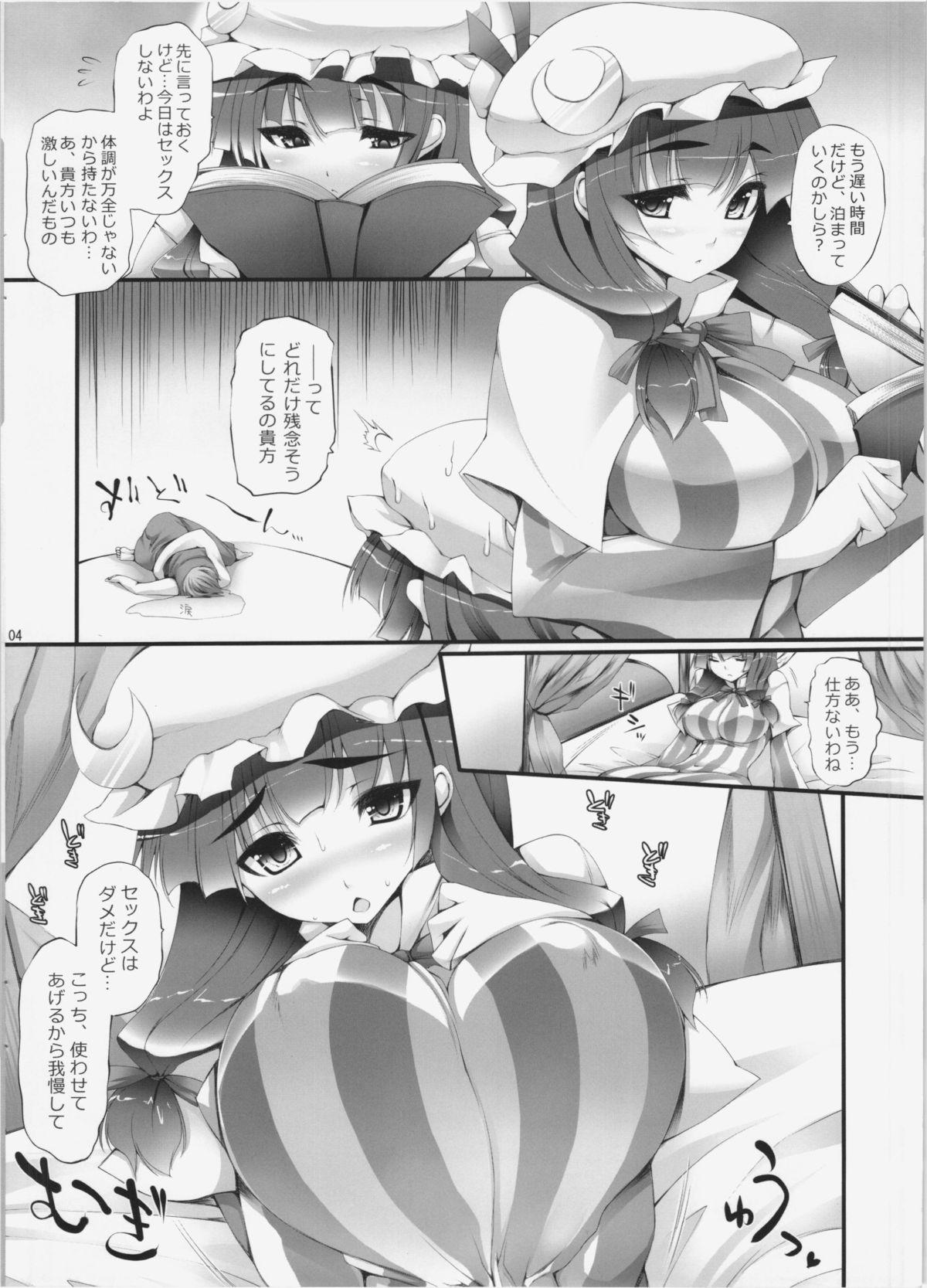 Longhair Inter Mammary 3 - Touhou project Love - Page 3