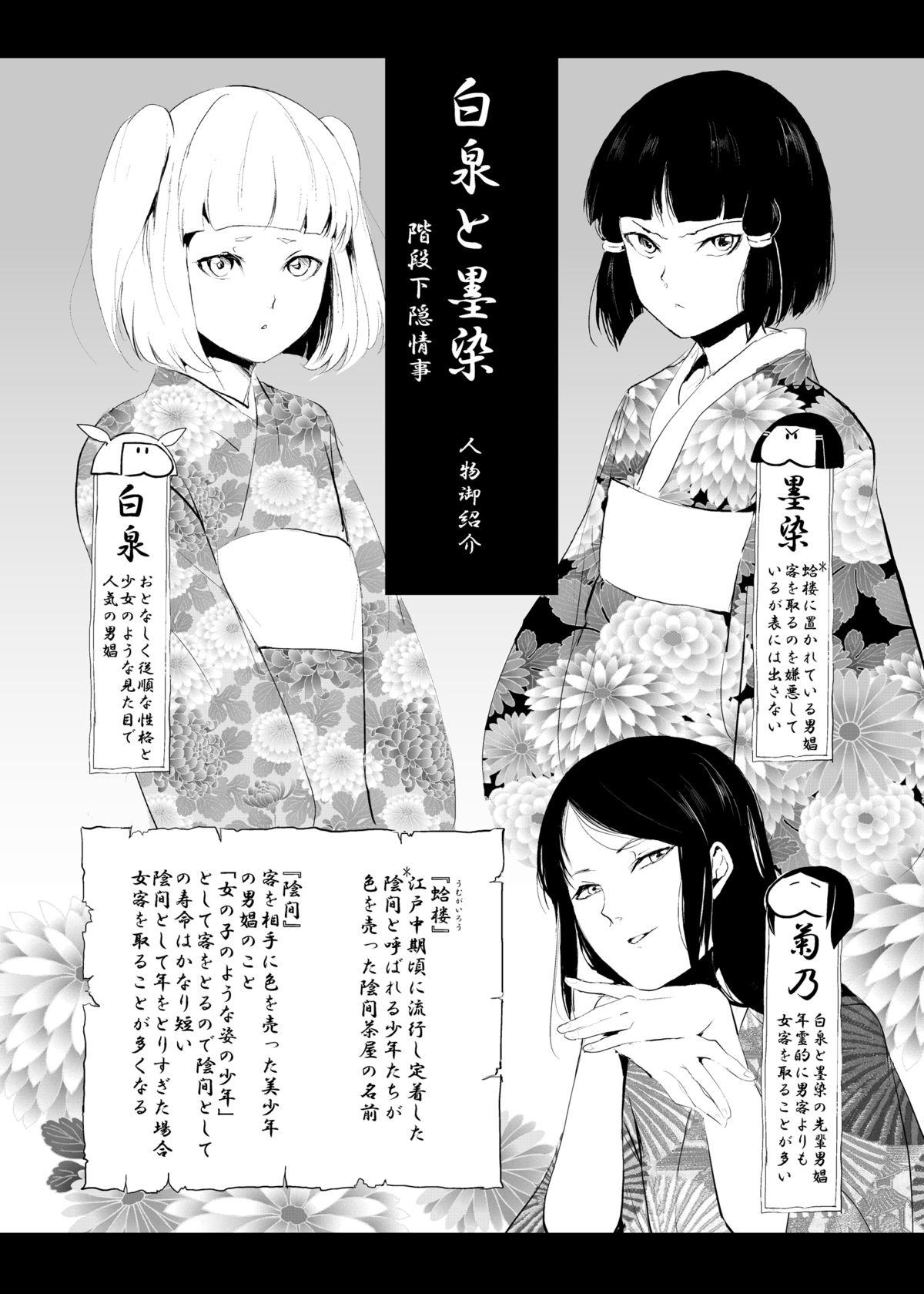 Nylons Hakusen to Sumizome Kaidan Shitagaku Jouji Vintage - Page 2