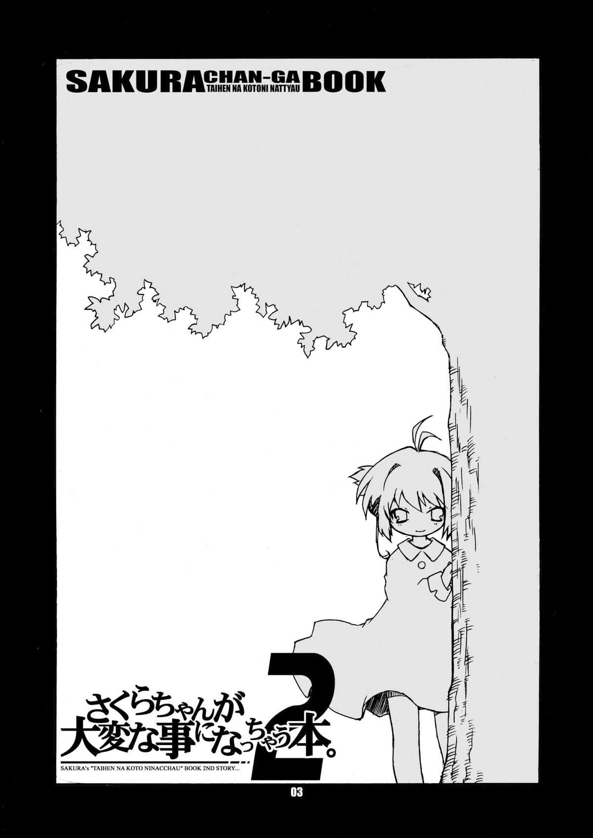 Rough Sakura-chan ga Taihen na Koto ni Nacchau Hon. 2 - Cardcaptor sakura Assfuck - Page 3