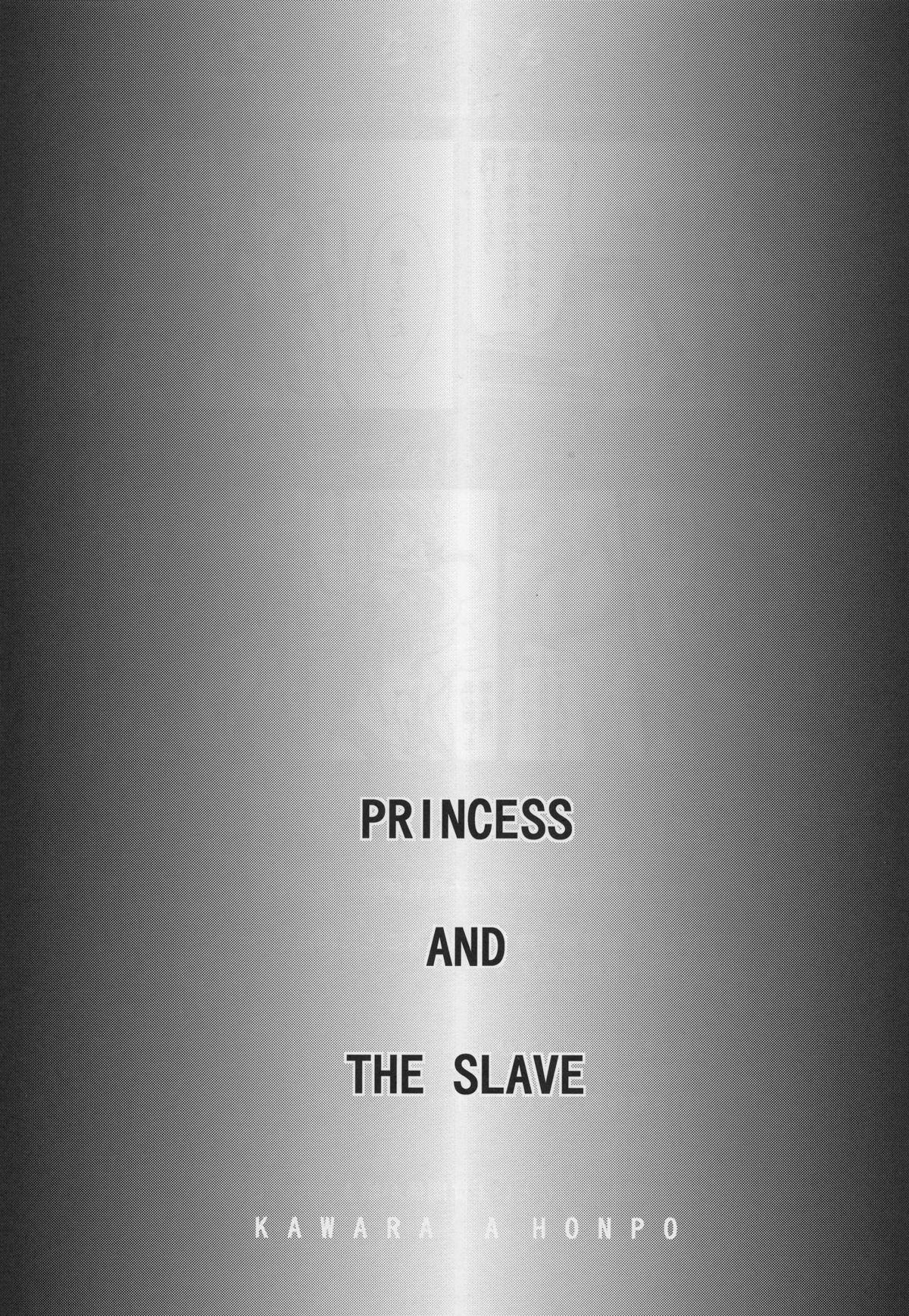Princess and the Slave 1