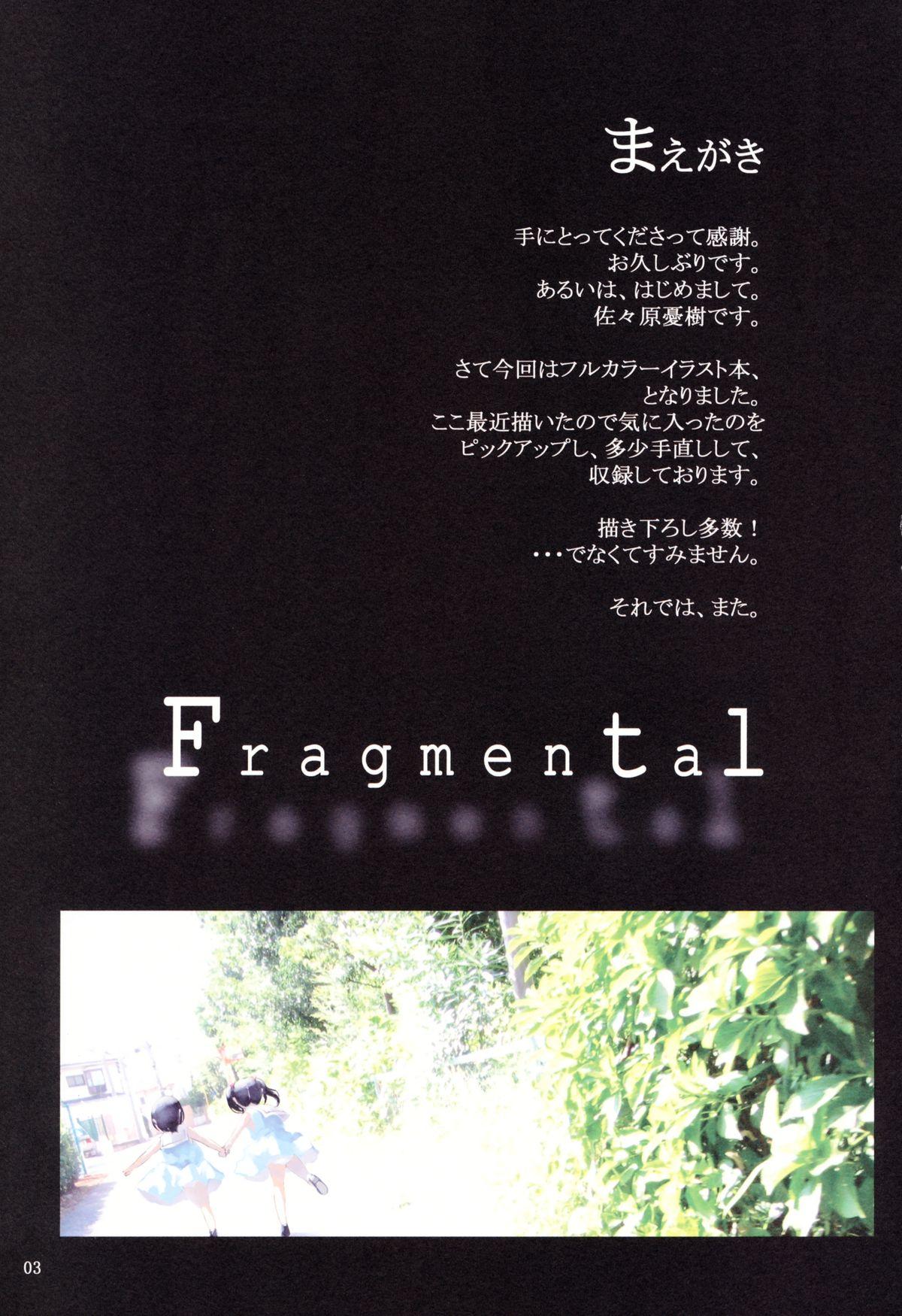 Fragmental 1